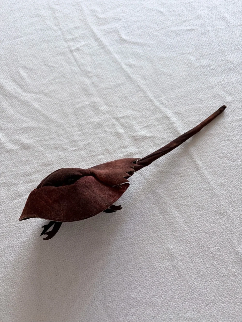 Folkmanis Horseshoe Crab Hand Puppet